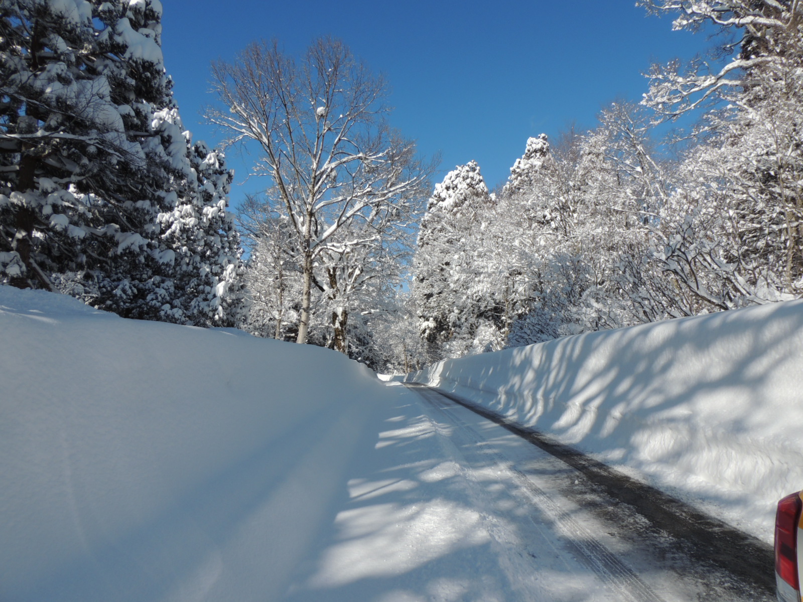 黒部別山 積雪期 黒部の衆 - 趣味/スポーツ/実用