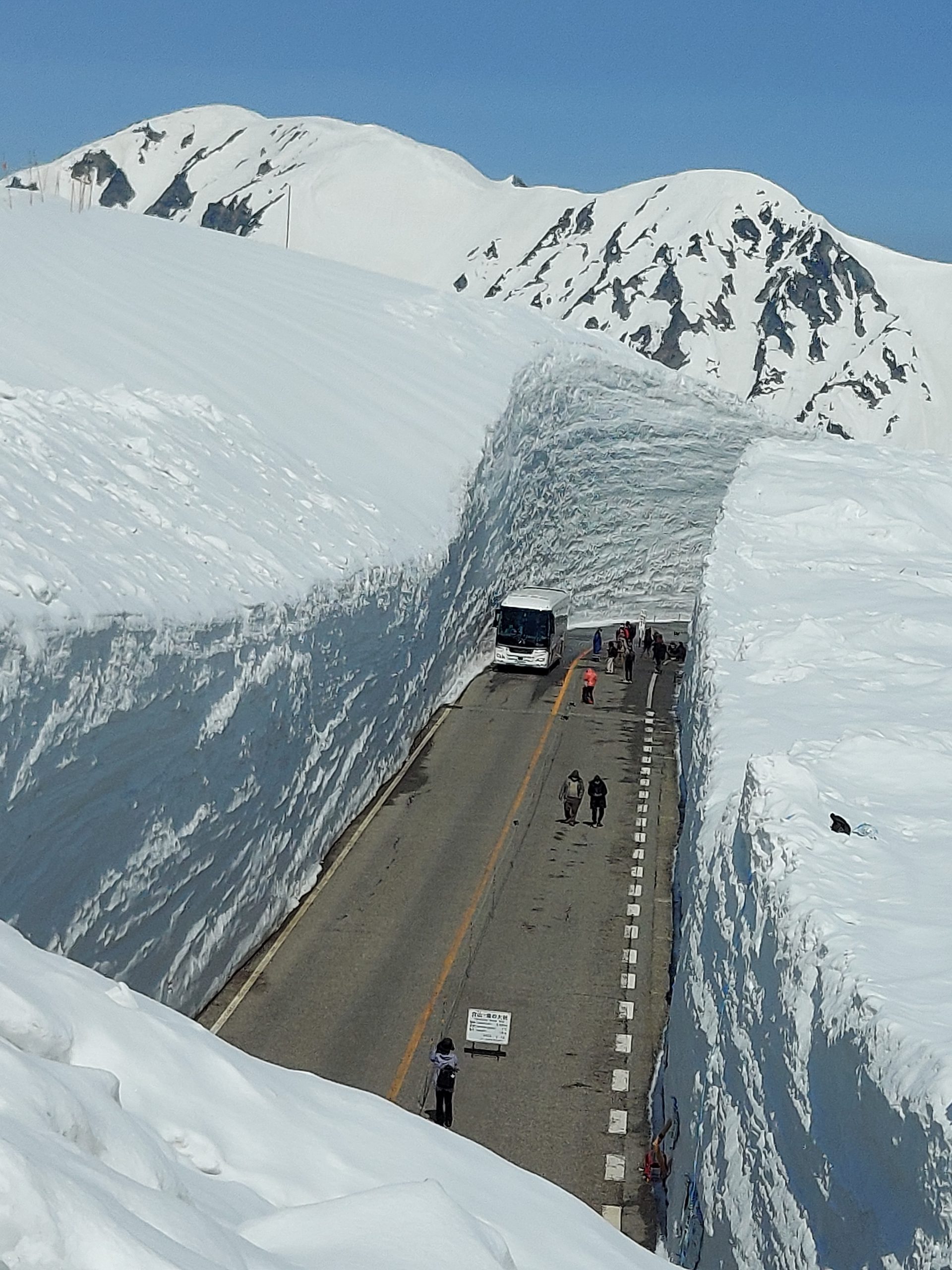 4月15日立山黒部アルペンルート全線開通！！（写真更新） | 富山県道路公社